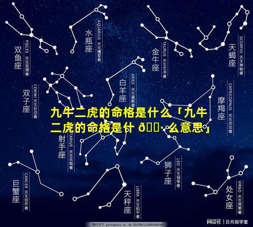 九牛二虎的命格是什么「九牛二虎的命格是什 🕷 么意思」